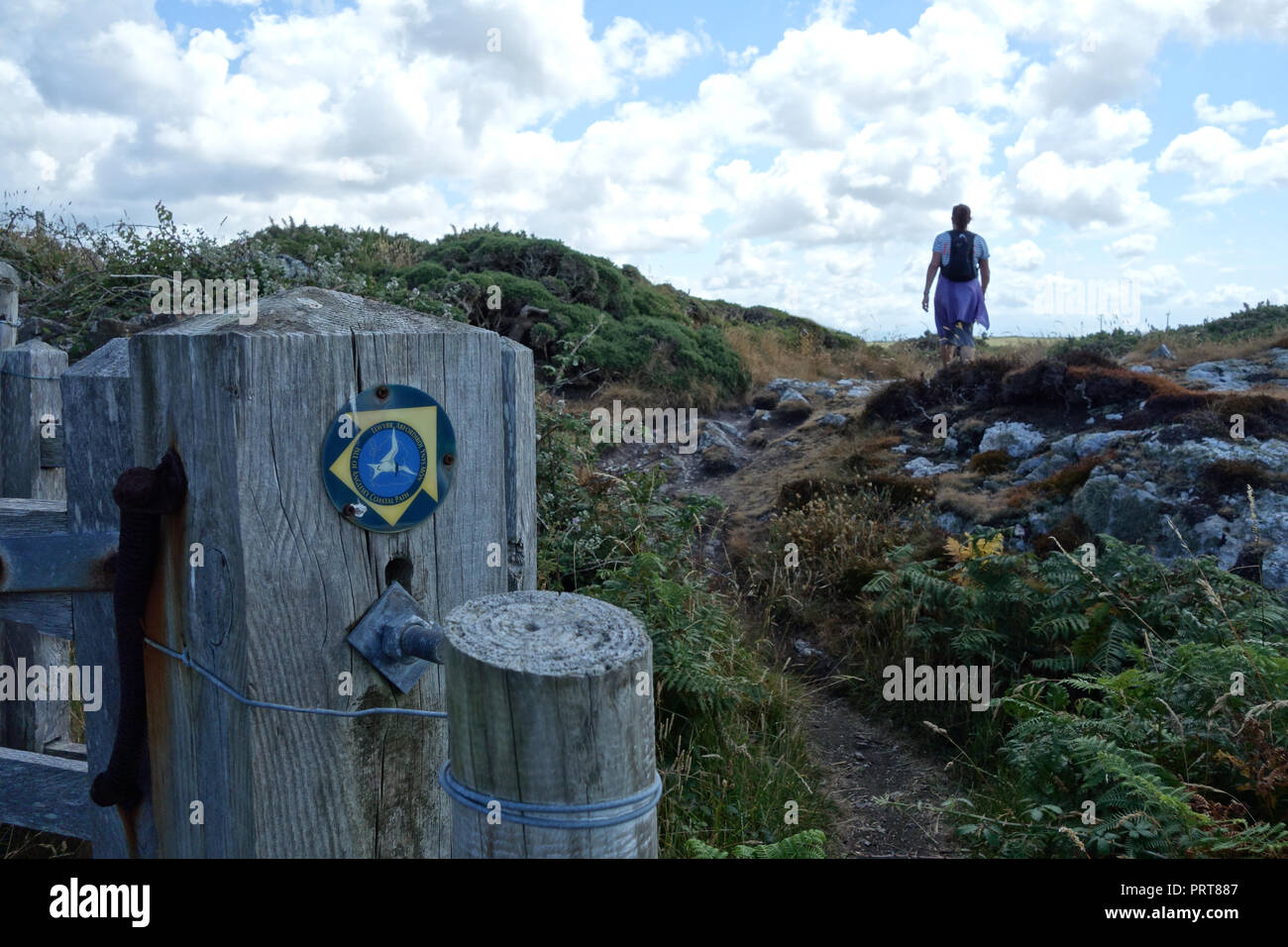 Lone donna escursionista a piedi passato cancello in legno & segnaletica per l'isola di Anglesey sentiero costiero vicino al villaggio di pescatori di Cemaes, Wales, Regno Unito. Foto Stock