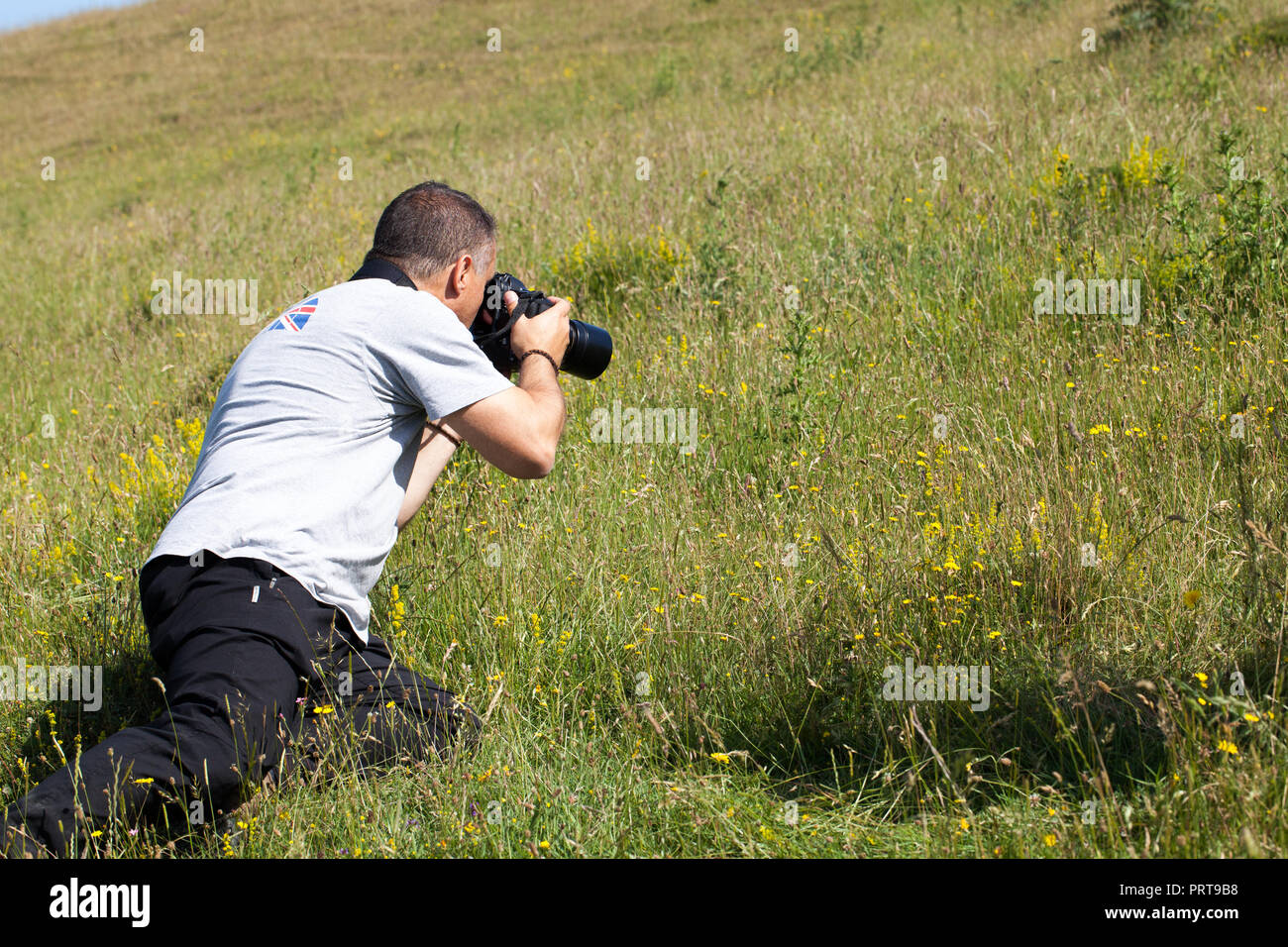 Uomo di fotografare grandi farfalle blu Maculinea arion Collard su Hill Somerset England Regno Unito Foto Stock