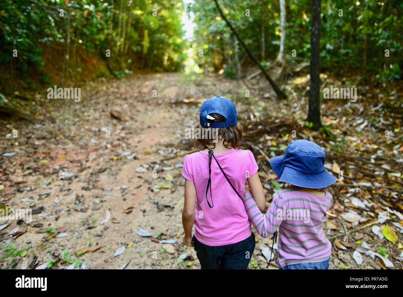 Scuola di età bambini escursioni attraverso una foresta, Misty Mountains deserto le vie di Palmerston Doongan Wooroonooran National Park, Queensland, Australia Foto Stock