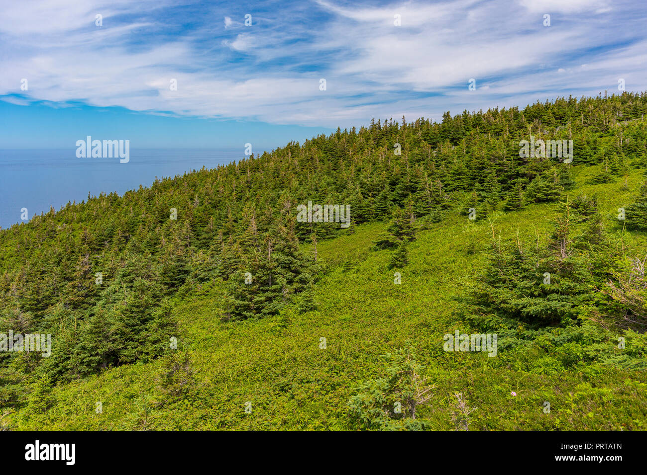 CAPE BRETON, Nova Scotia, Canada - Skyline Trail in Cape Breton Highlands National Park. Foto Stock