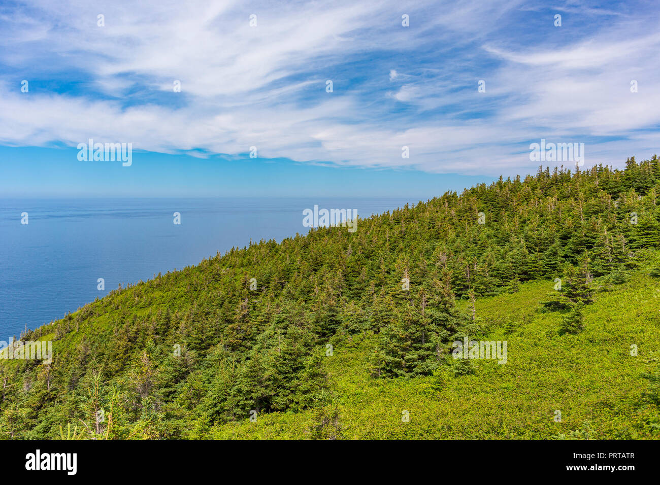 CAPE BRETON, Nova Scotia, Canada - Skyline Trail in Cape Breton Highlands National Park. Foto Stock
