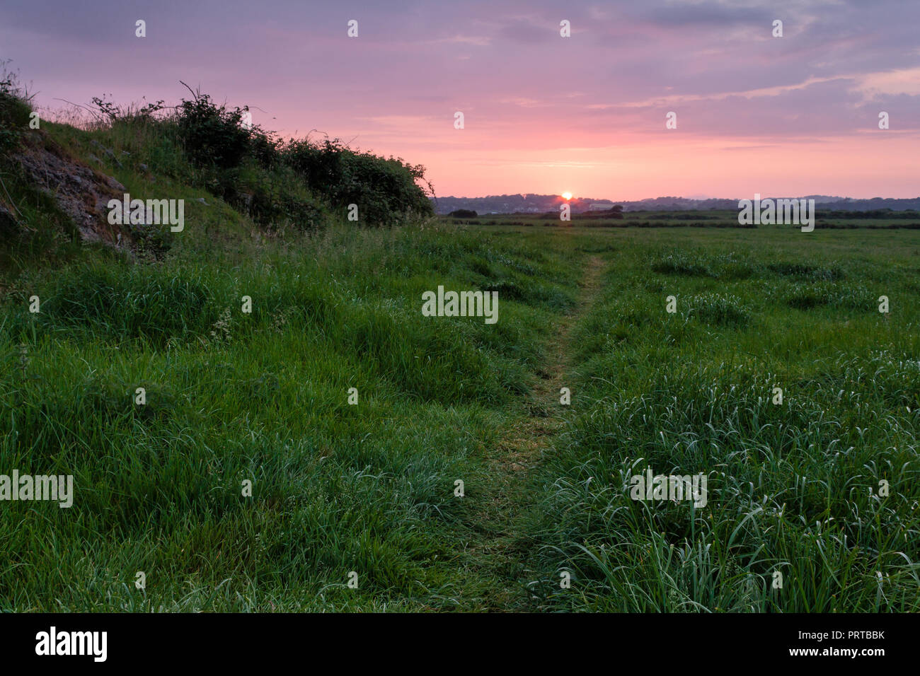 Tramonto su campi verdi nella Contea di Kerry, Irlanda Foto Stock