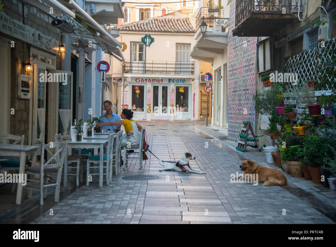 Coppia giovane avente la colazione con il loro cane in un ristorante Foto Stock