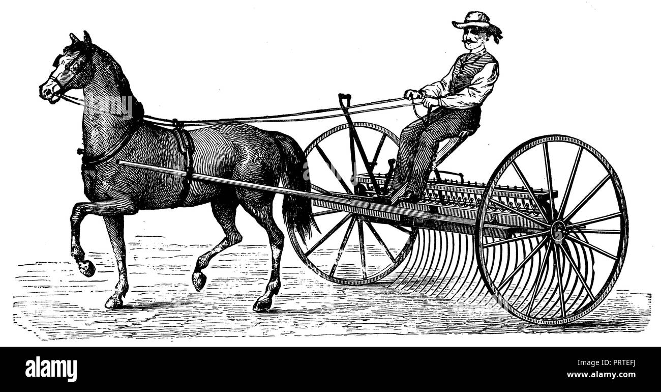Horse rastrelli, anonym 1900 Foto Stock