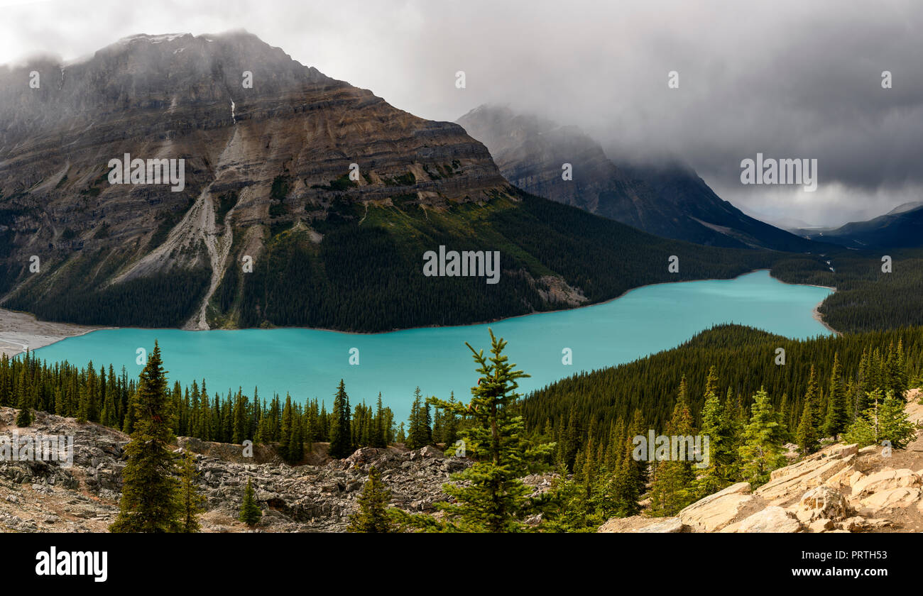 Il Lago Peyto Icefields Parkway, Alberta Foto Stock