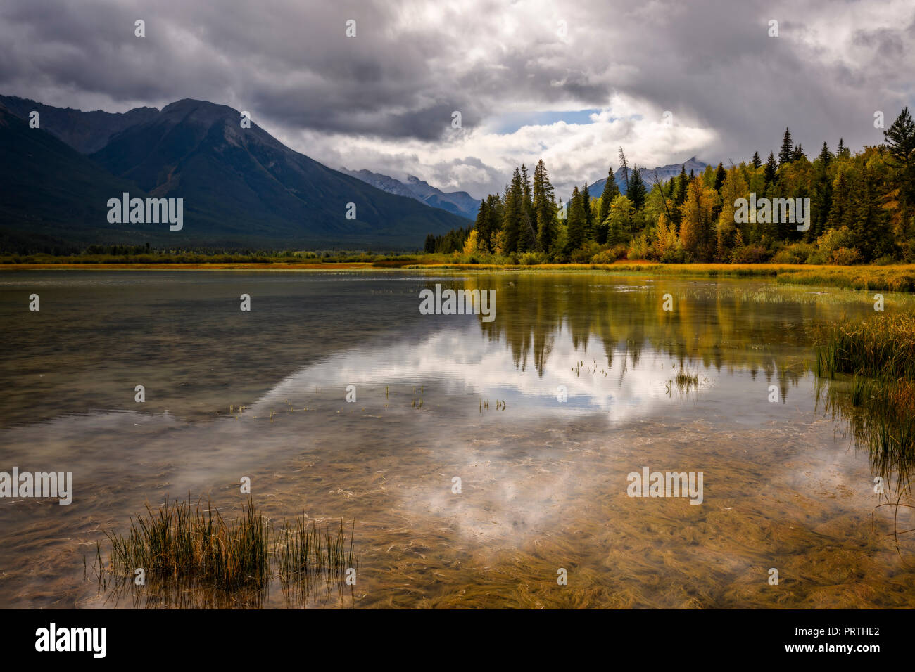 Autunno a colori e riflessi al Laghi Vermillion, Banff Foto Stock