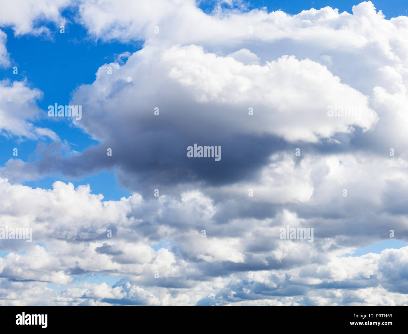 Bassa dark cumulus nubi nel cielo blu nel pomeriggio di settembre Foto Stock