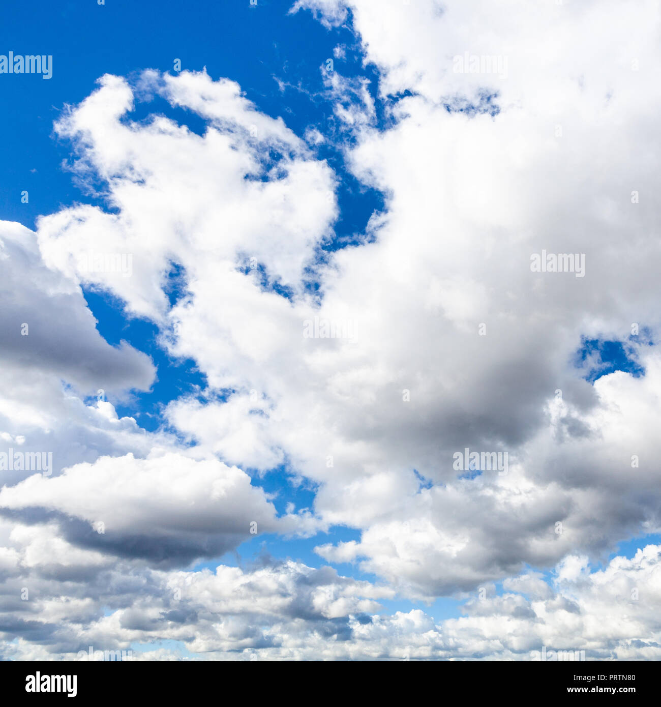 Il bianco e il grigio cumulus nubi nel cielo blu nel pomeriggio di settembre Foto Stock