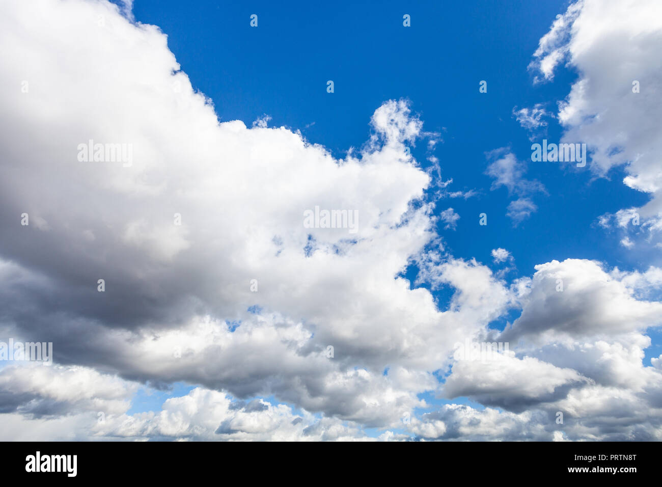 La parte anteriore della bassa cumulus nubi nel cielo blu scuro nel pomeriggio di settembre Foto Stock