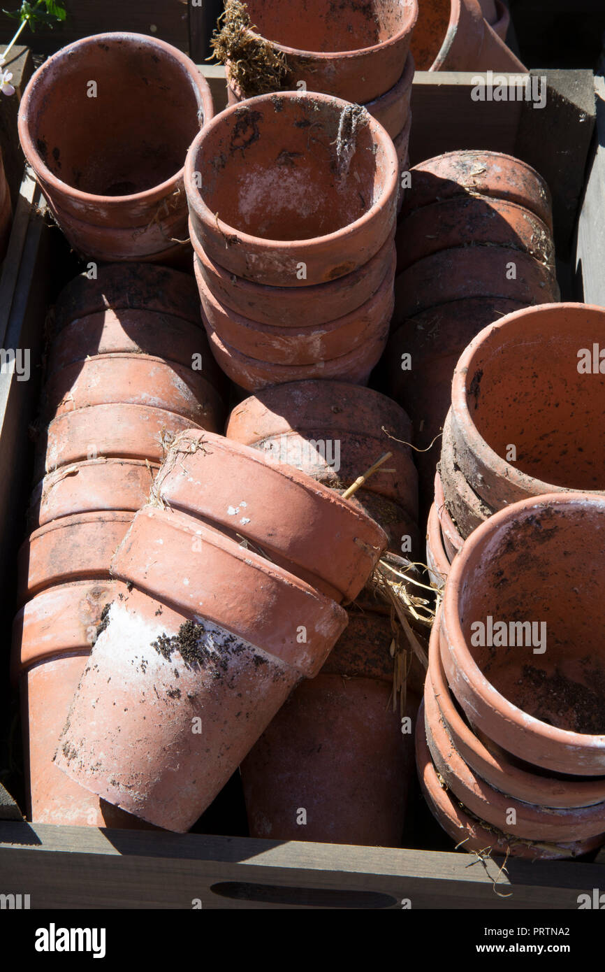 Collezione di vecchi vintage terracotta vasi per piante Foto Stock