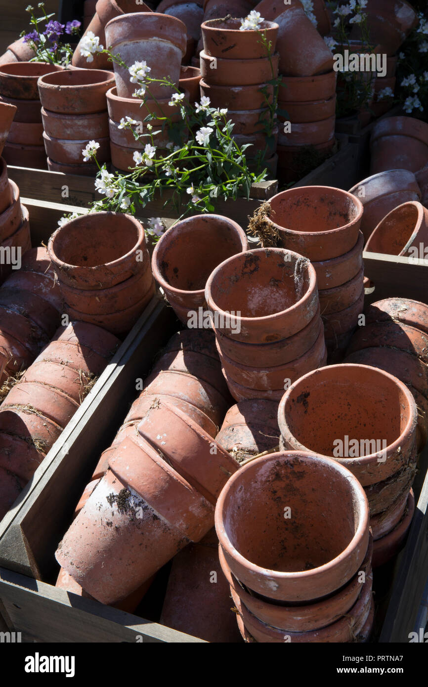 Collezione di vecchi vintage terracotta vasi per piante Foto Stock