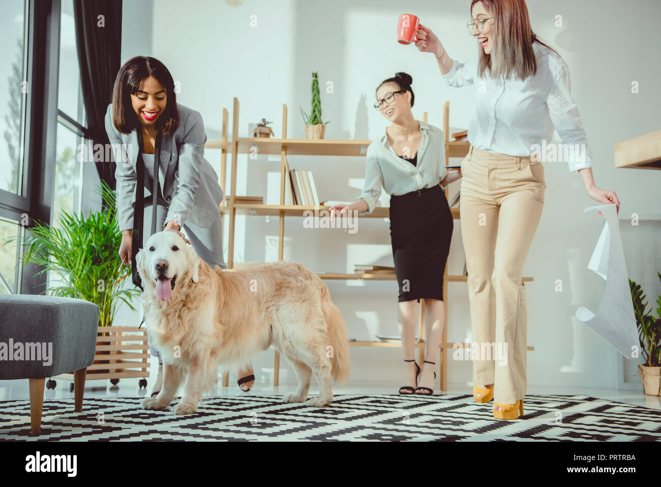 Felice multietnica imprenditrici ingannare intorno con il cane in ufficio Foto Stock