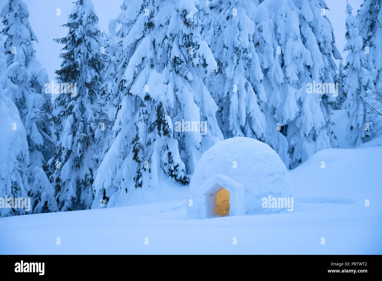 Neve eschimese igloo per trascorrere la notte in una foresta di montagna. Extreme adventures in natura in inverno. Paesaggio di sera con un riparo per i turisti Foto Stock