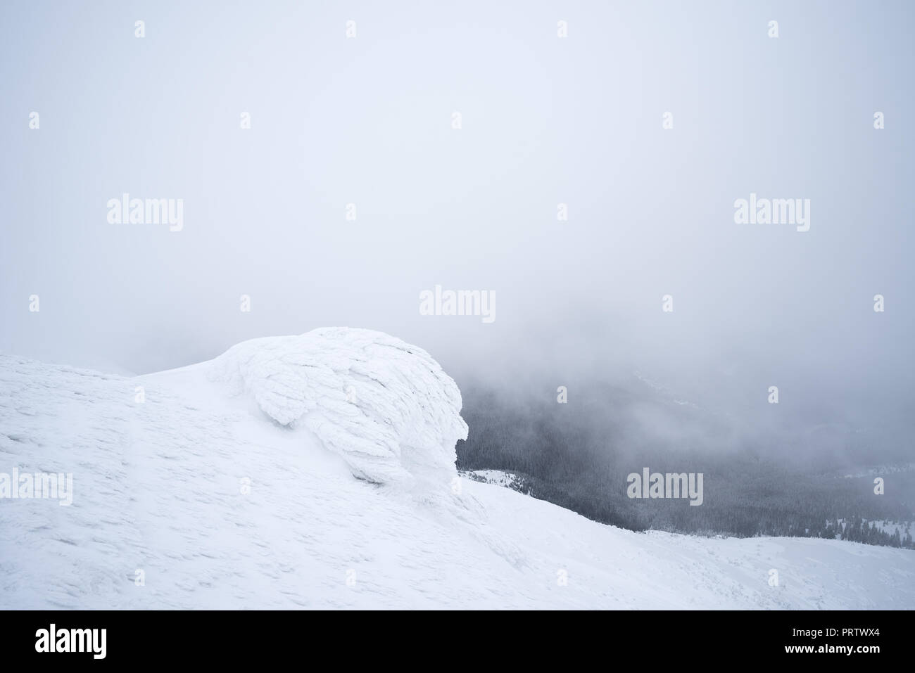 Montagne innevate in inverno. Paesaggio con neve e nebbia.rocce sono ricoperte con firn Foto Stock