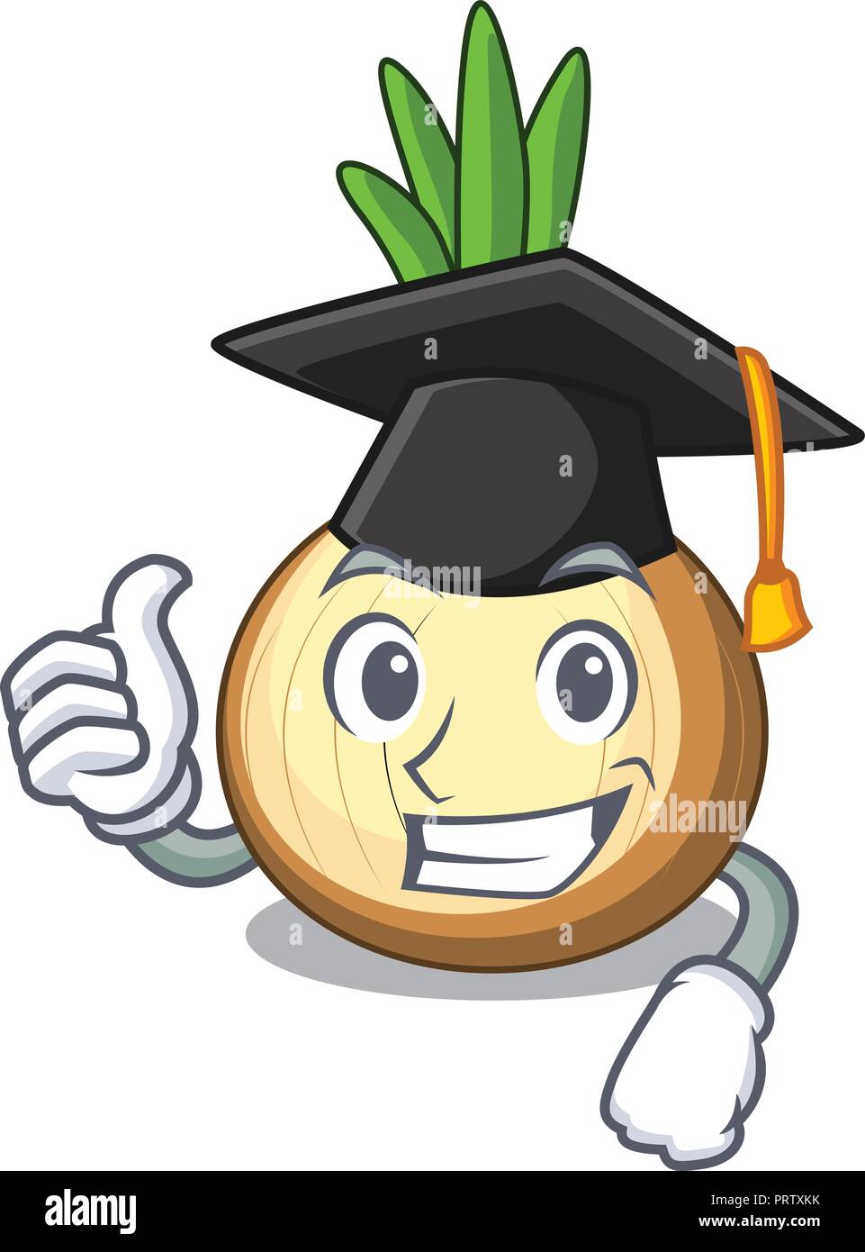 Graduazione di cipolle dorate nel cestello cartoon Illustrazione Vettoriale