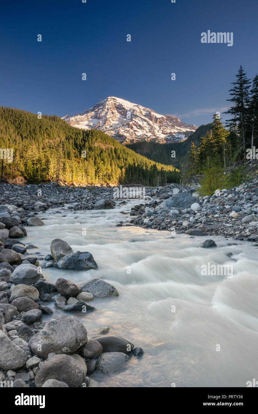 Il Monte Rainier, la mattina presto, Nisqually fiume, verso la fine di settembre, il Parco Nazionale del Monte Rainier, nello stato di Washington, USA Foto Stock