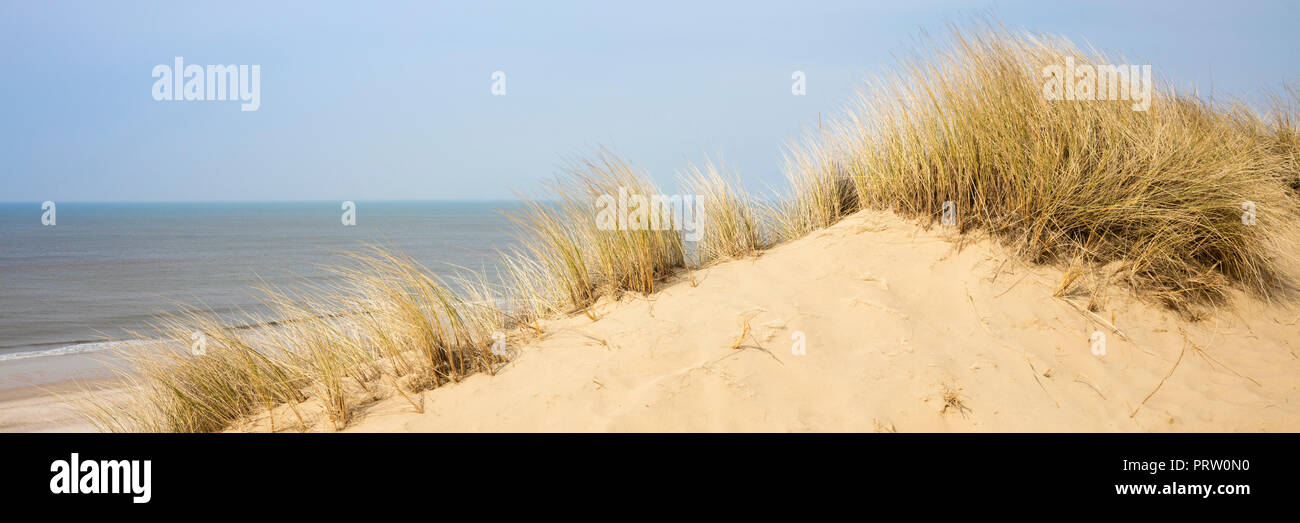 Paesaggio di dune al litorale, Sylt, Nord isola frisone, Frisia settentrionale, Schleswig-Holstein, Germania, Europa Foto Stock Paesaggio di dune al litorale, Sylt, Nord isola frisone, Frisia settentrionale, Schleswig-Holstein, Germania, Europa Foto Stock