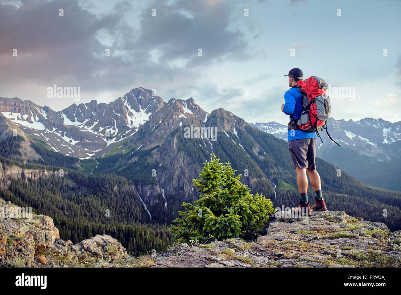 Escursionista sul picco di montagna, Mount Sneffels, Ouray, Colorado, STATI UNITI D'AMERICA Foto Stock