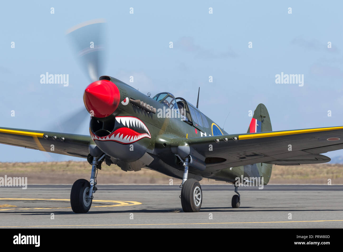 Curtiss P-40N Kittyhawk II Guerra Mondiale fighter aircraft VH-ZOC. Foto Stock