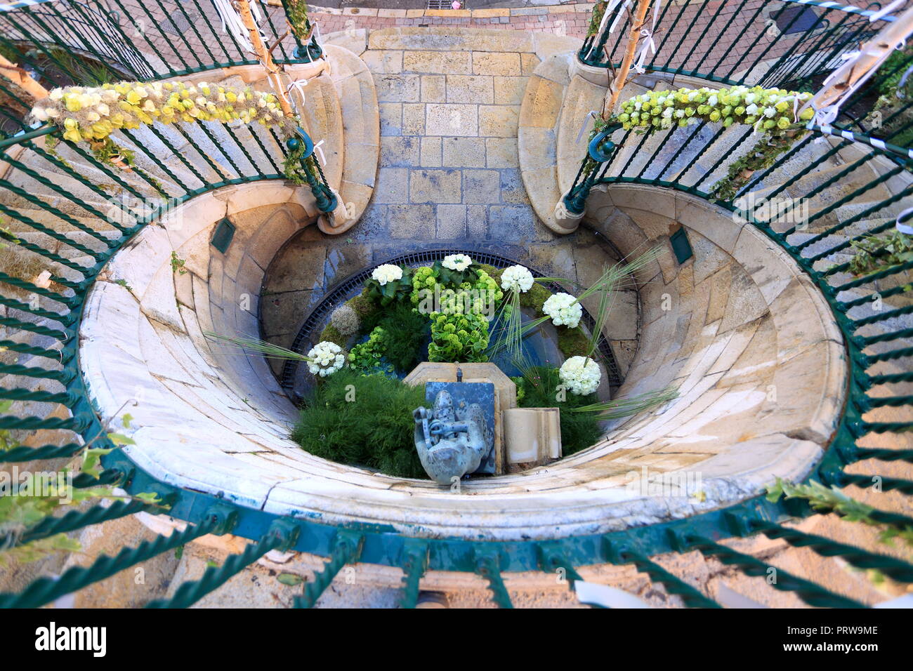 Grasse, esposizione di rose, Prealpes d'Azur, 06, Alpes-Maritimes, Cote d'azur, PACA, Foto Stock