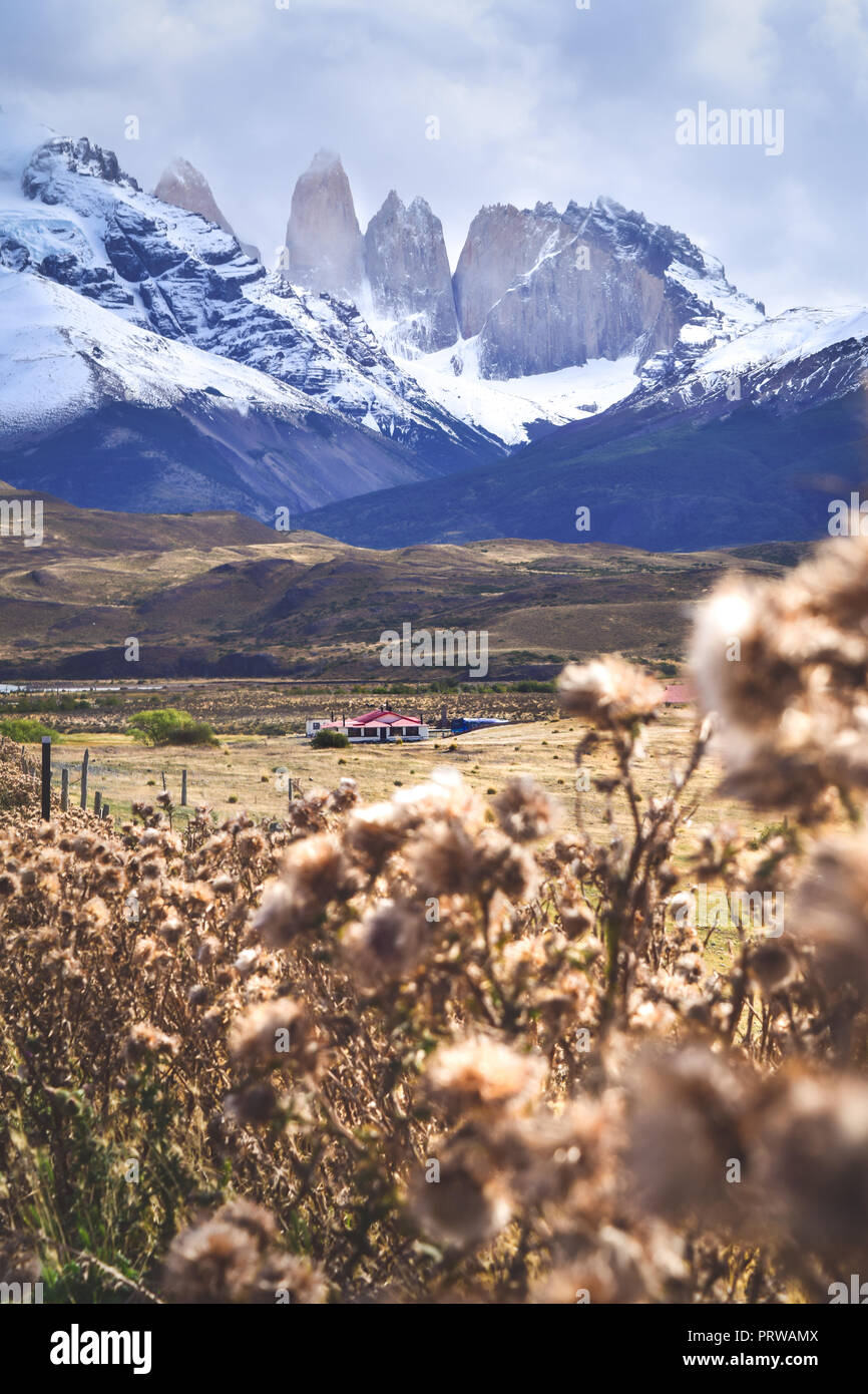 Il più famoso parco nazionale in Patagonia Foto Stock