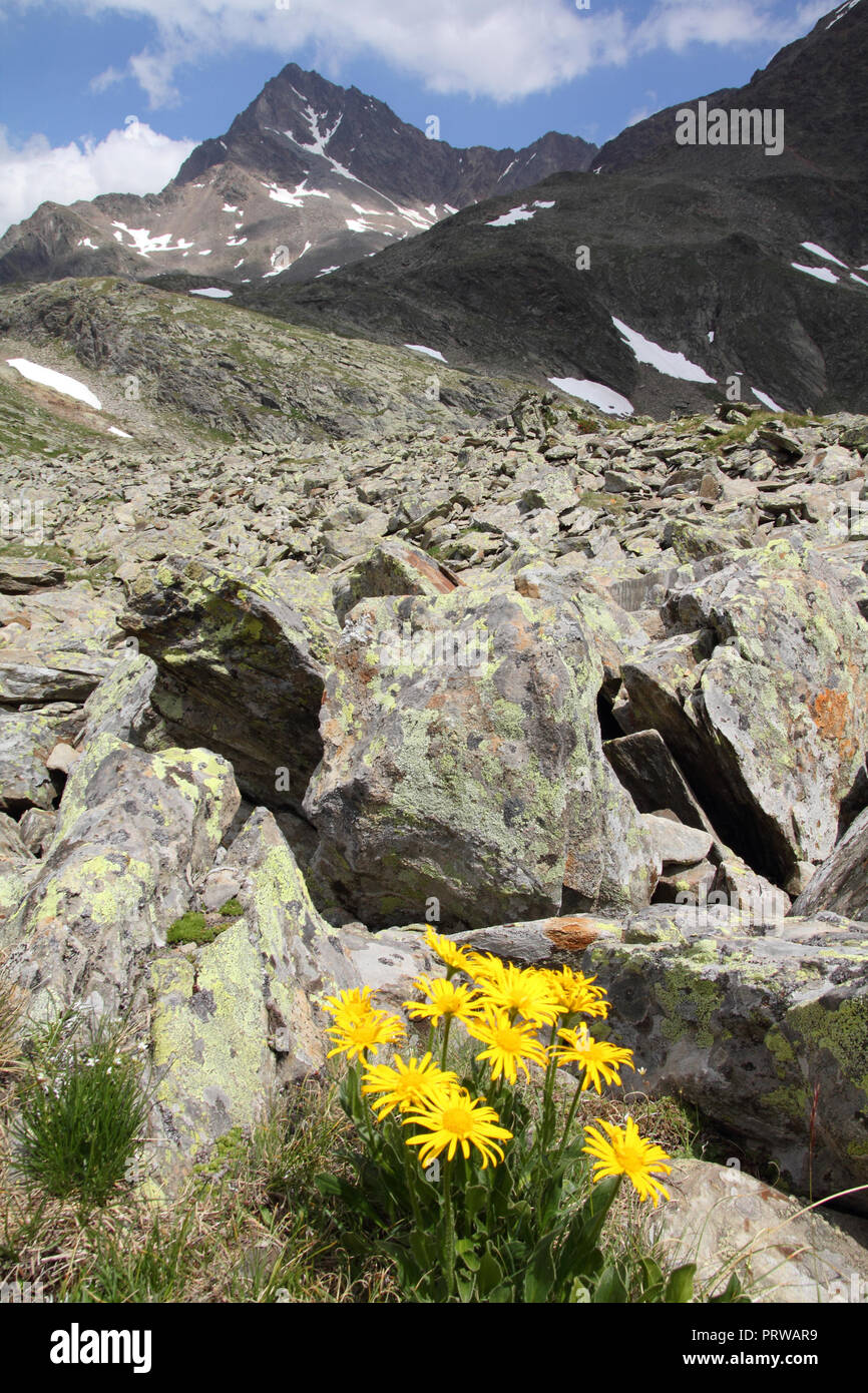 L'Italia, il Parco Nazionale dello Stelvio. Vicino al Passo Gavia nelle Alpi dell'Ortles. Paesaggio alpino. Sullo sfondo: Corno dei Tre Signori picco, 3360m alta. Foto Stock