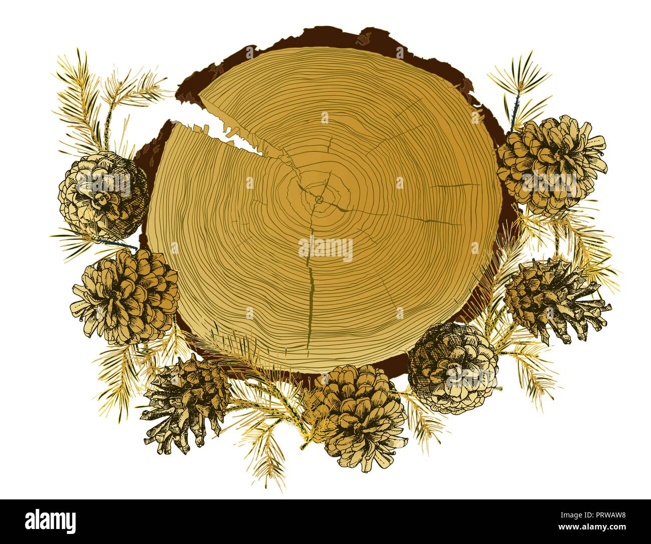 Modello di scheda con realistica botanico schizzo di inchiostro di Abete rami, oro pigna e albero ringg tronco su sfondo bianco Illustrazione Vettoriale