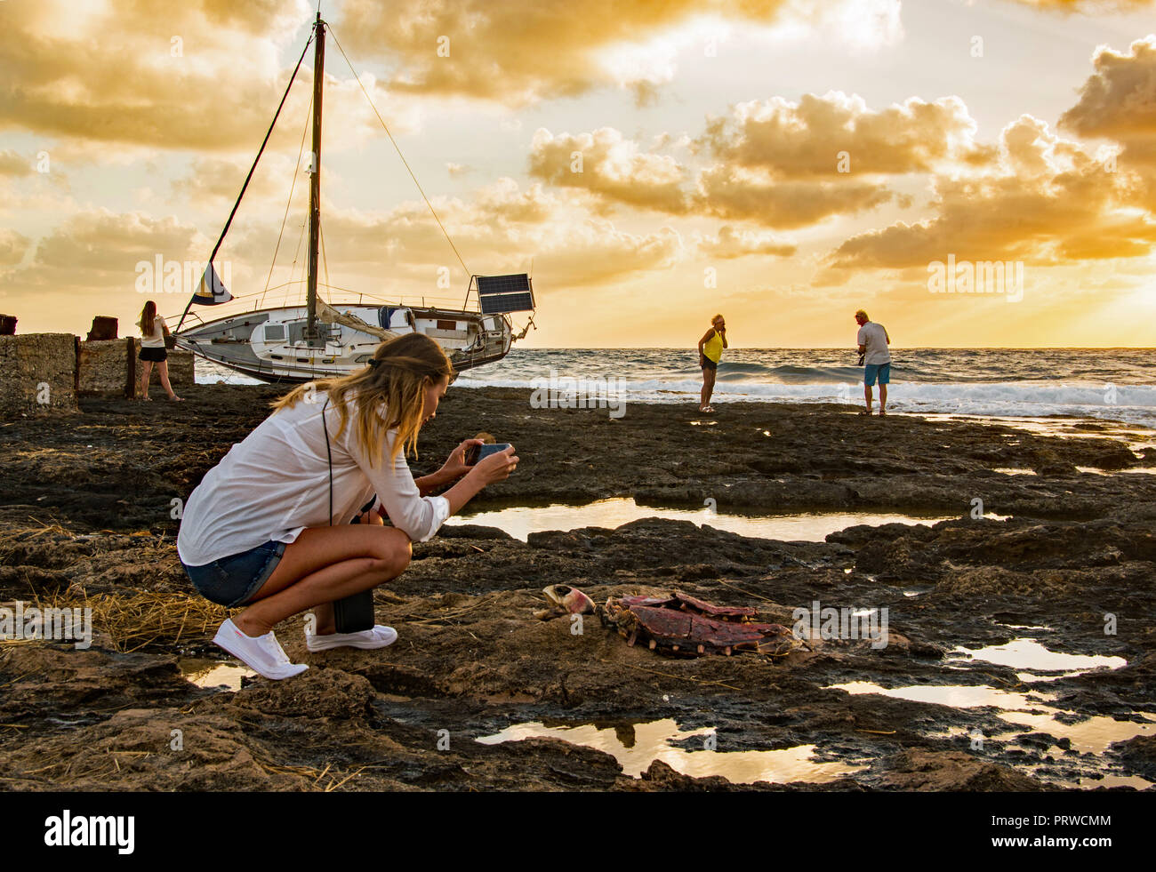 Fotografando un dead SEA TURTLE. Foto Stock