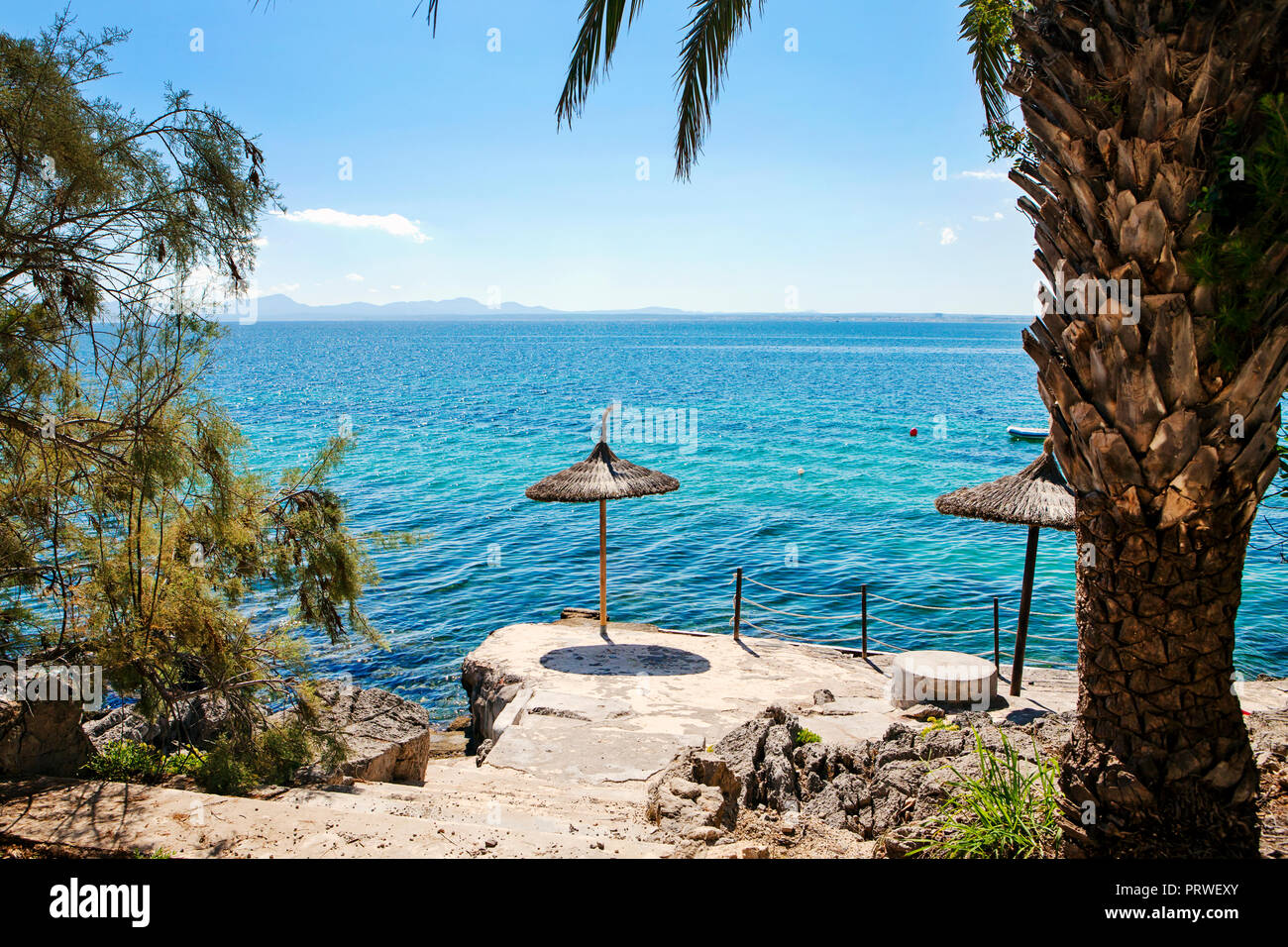 Spiaggia di Aucanada vicino a Alcudia, Maiorca, SPAGNA Foto Stock