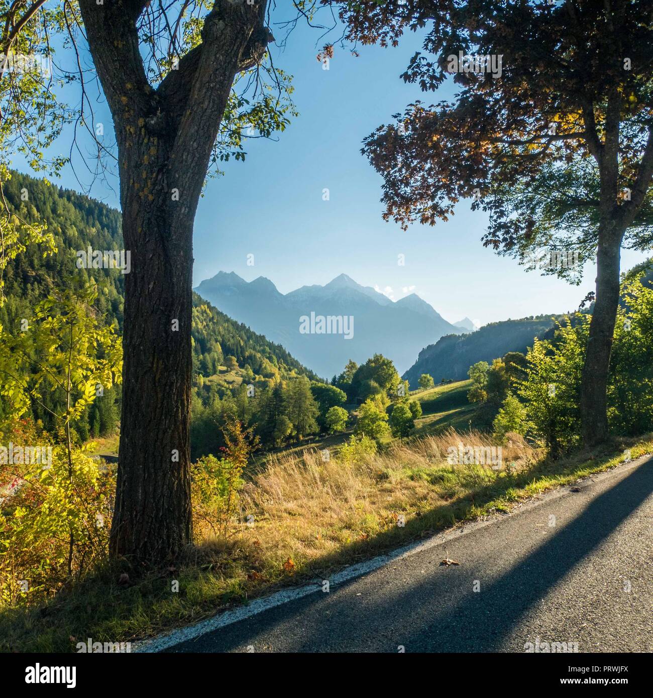 Scena alpina nei pressi del villaggio di Lignan, Valle d'Aosta, NW Italia Foto Stock