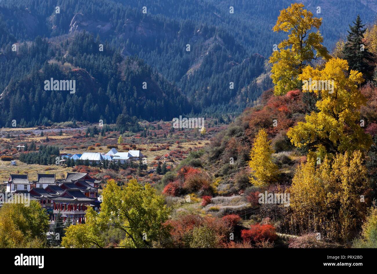 Zhangye. 4 Ott 2018. Foto scattata il 4 ottobre, 2018 mostra il paesaggio autunnale del Qilian montagne tibetane township di Mati in Sunan Yugur contea autonoma, a nord-ovest della Cina di Provincia di Gansu. Credito: Wang Jiang/Xinhua/Alamy Live News Foto Stock