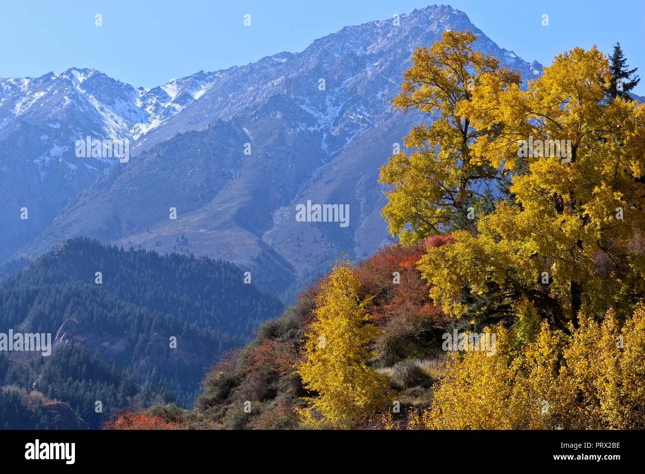 Zhangye. 4 Ott 2018. Foto scattata il 4 ottobre, 2018 mostra il paesaggio autunnale del Qilian montagne tibetane township di Mati in Sunan Yugur contea autonoma, a nord-ovest della Cina di Provincia di Gansu. Credito: Wang Jiang/Xinhua/Alamy Live News Foto Stock