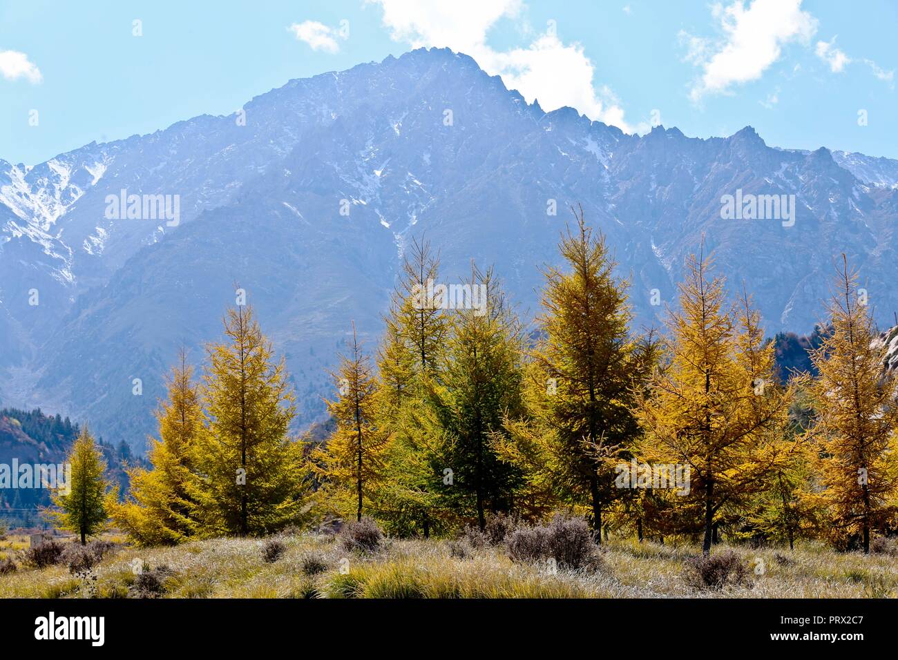 Zhangye. 4 Ott 2018. Foto scattata il 4 ottobre, 2018 mostra il paesaggio autunnale del Qilian montagne tibetane township di Mati in Sunan Yugur contea autonoma, a nord-ovest della Cina di Provincia di Gansu. Credito: Wang Jiang/Xinhua/Alamy Live News Foto Stock