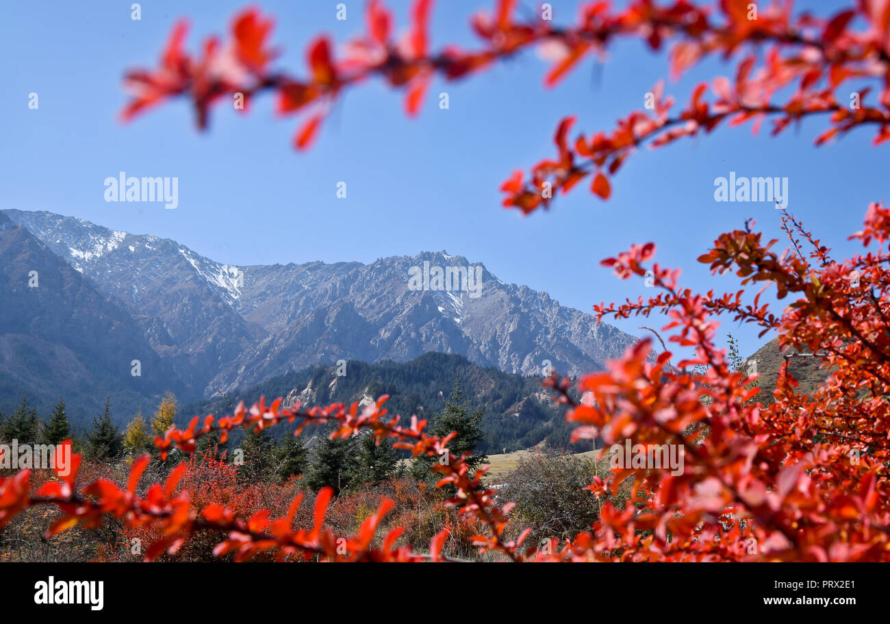 Zhangye. 4 Ott 2018. Foto scattata il 4 ottobre, 2018 mostra il paesaggio autunnale del Qilian montagne tibetane township di Mati in Sunan Yugur contea autonoma, a nord-ovest della Cina di Provincia di Gansu. Credito: Wang Jiang/Xinhua/Alamy Live News Foto Stock