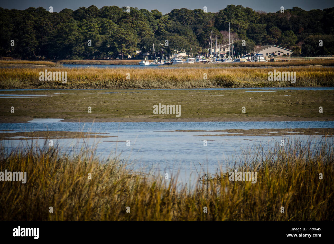 Le zone umide e area della palude in Beaufort South Carolina, con la bassa marea in una giornata di sole Foto Stock