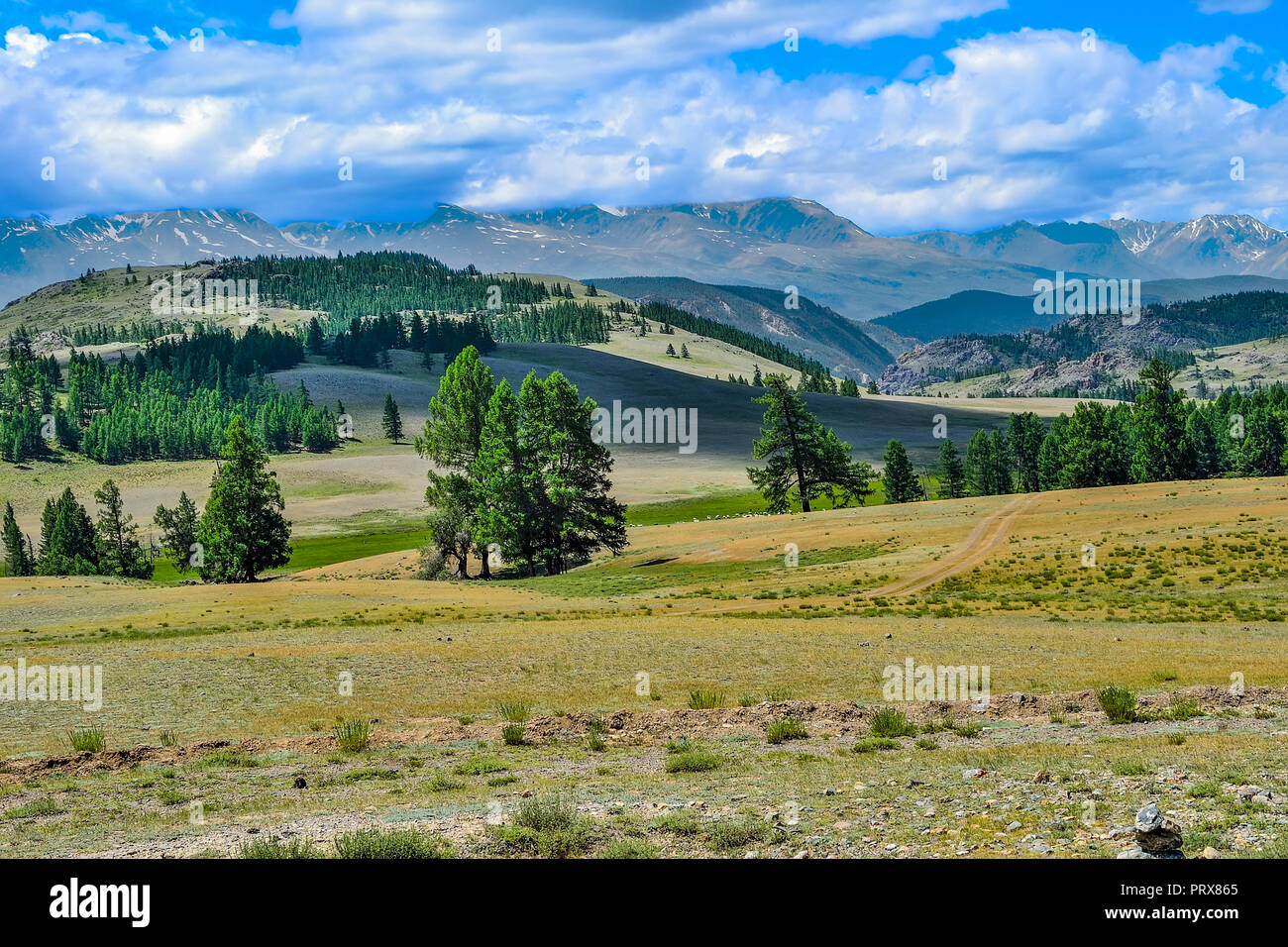 North-Chuya cresta o Severo-Chuiskii gamma - catena di montagne di Altai repubblica, Russia - estate paesaggio di montagna con Chuya steppa in primo piano Foto Stock