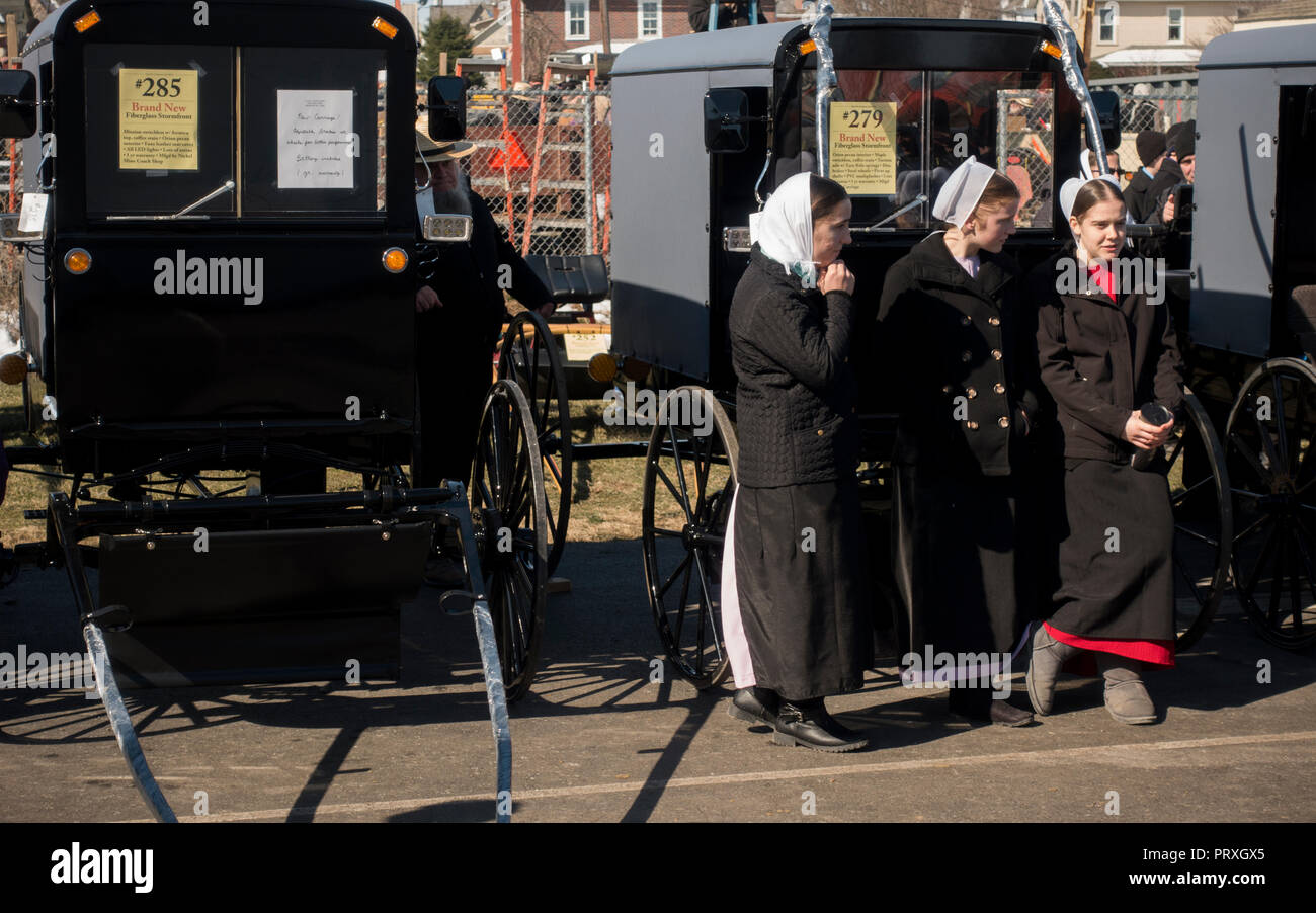 Amish buggy vendita Lancaster PA Foto Stock