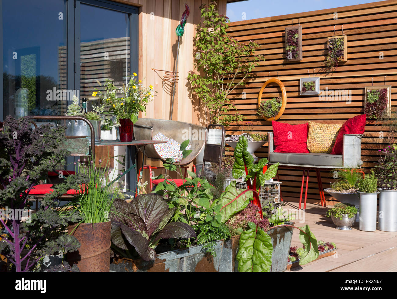 Piccolo spazio balcone veg verdure orto decking lattuga bietola erba cipollina che cresce in contenitori metallici insoliti riadattati giardinaggio verticale Regno Unito Foto Stock