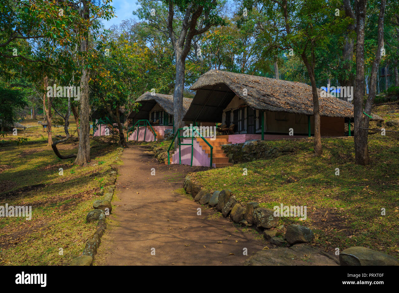 Jungle Lodge Resort - BR Hills (Karnataka, India) Foto Stock