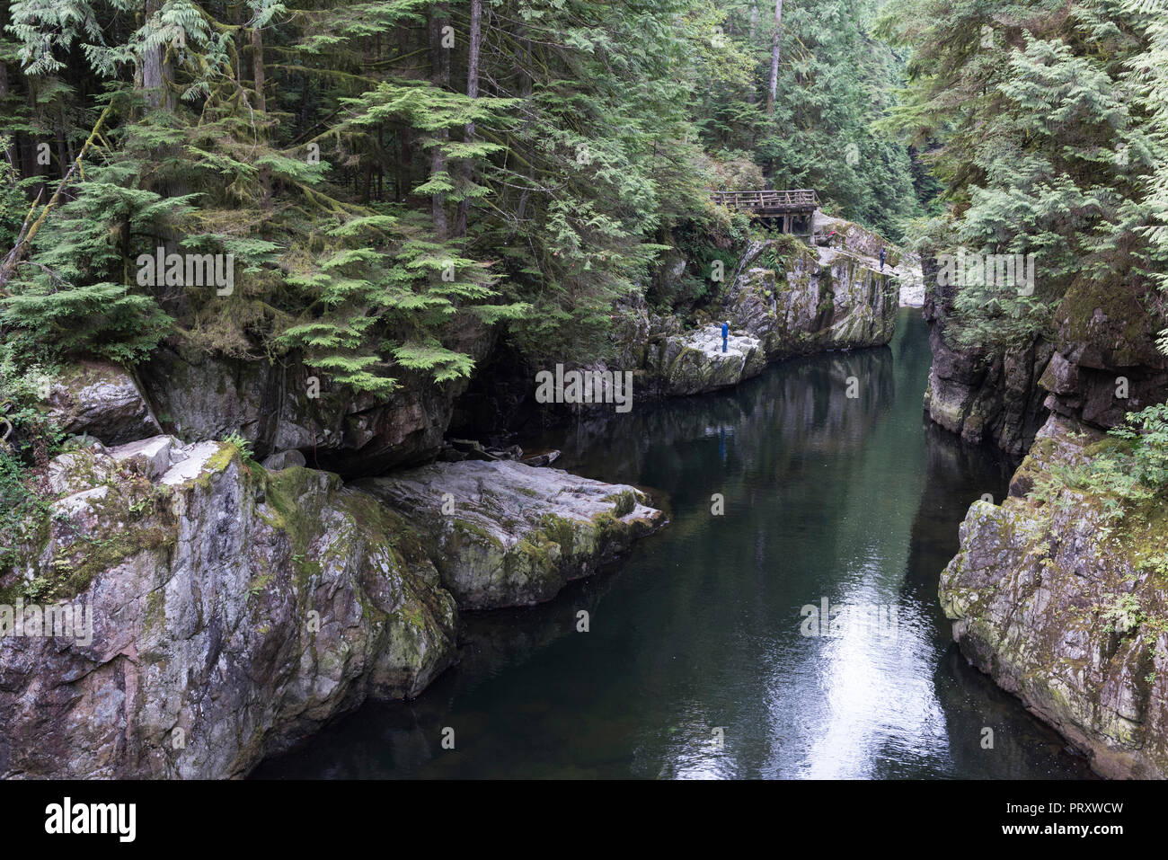 Il fiume Capilano Pool di cavo è l'ultimo tratto di acqua che consente la pesca sportiva prima il Vivaio Ittico, North Vancouver British Columbia. Foto Stock