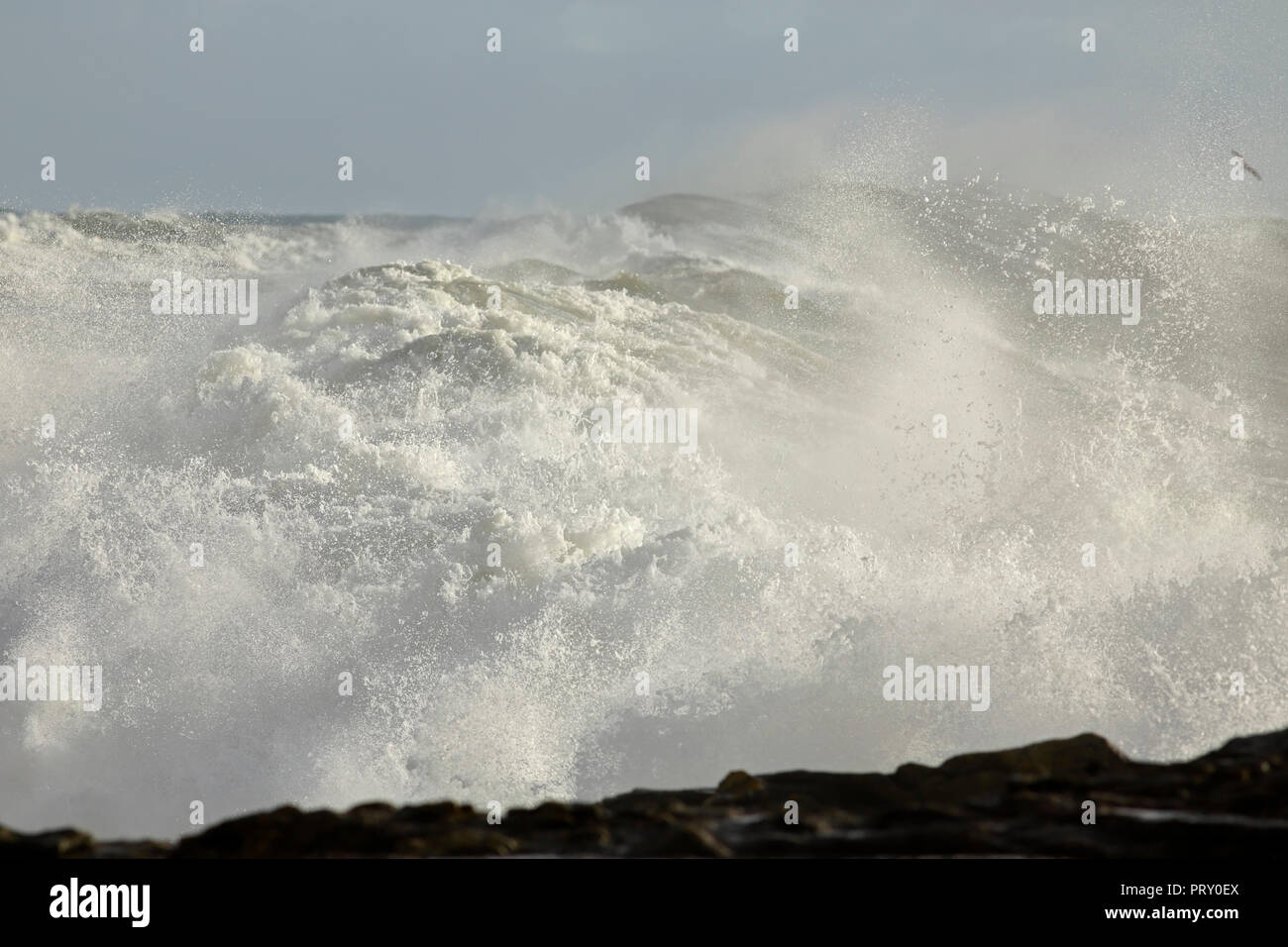 Mare tempestoso onde in una giornata di sole Foto Stock
