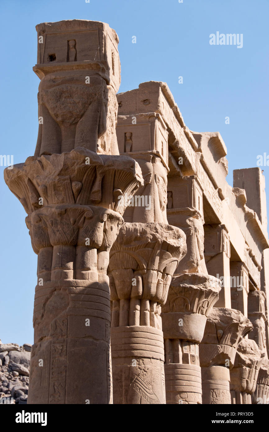 La faccia del bestiame egiziano dea Hathor, raffigurata con le orecchie di vacca, sulla parte superiore di una colonna nel tempio di Hathor a Philae, Aswan, Egitto. Foto Stock