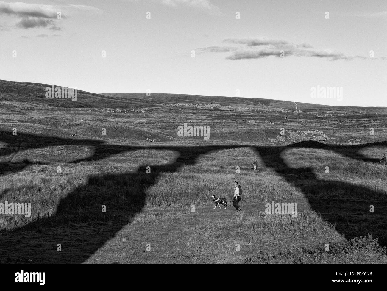 Dog walkers nell'ombra del viadotto Ribblehead Foto Stock