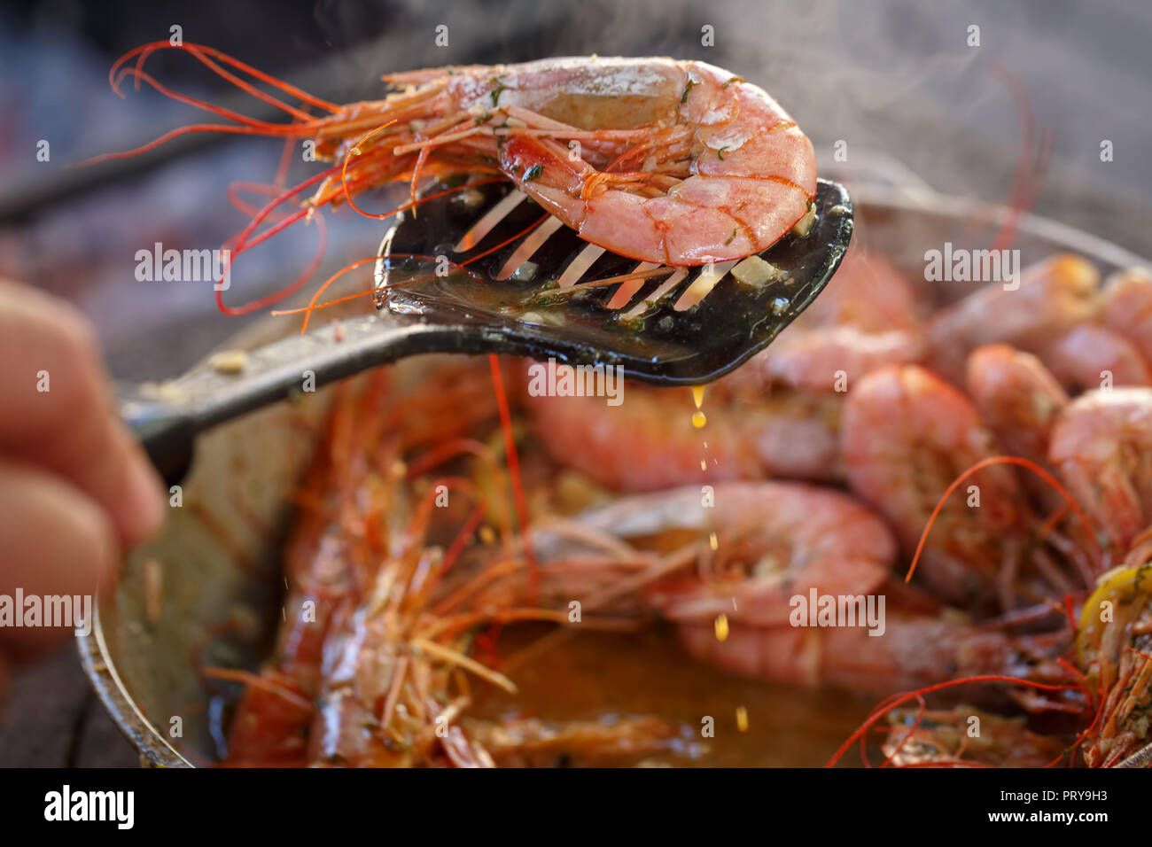 Stuzzicanti i gamberi erano appena estratti dalla padella Foto Stock