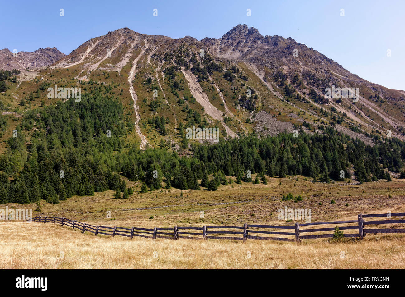 Biotopo Plamorter moss, Moor, Passo Resia, Val Venosta, Alto Adige, Italia Foto Stock