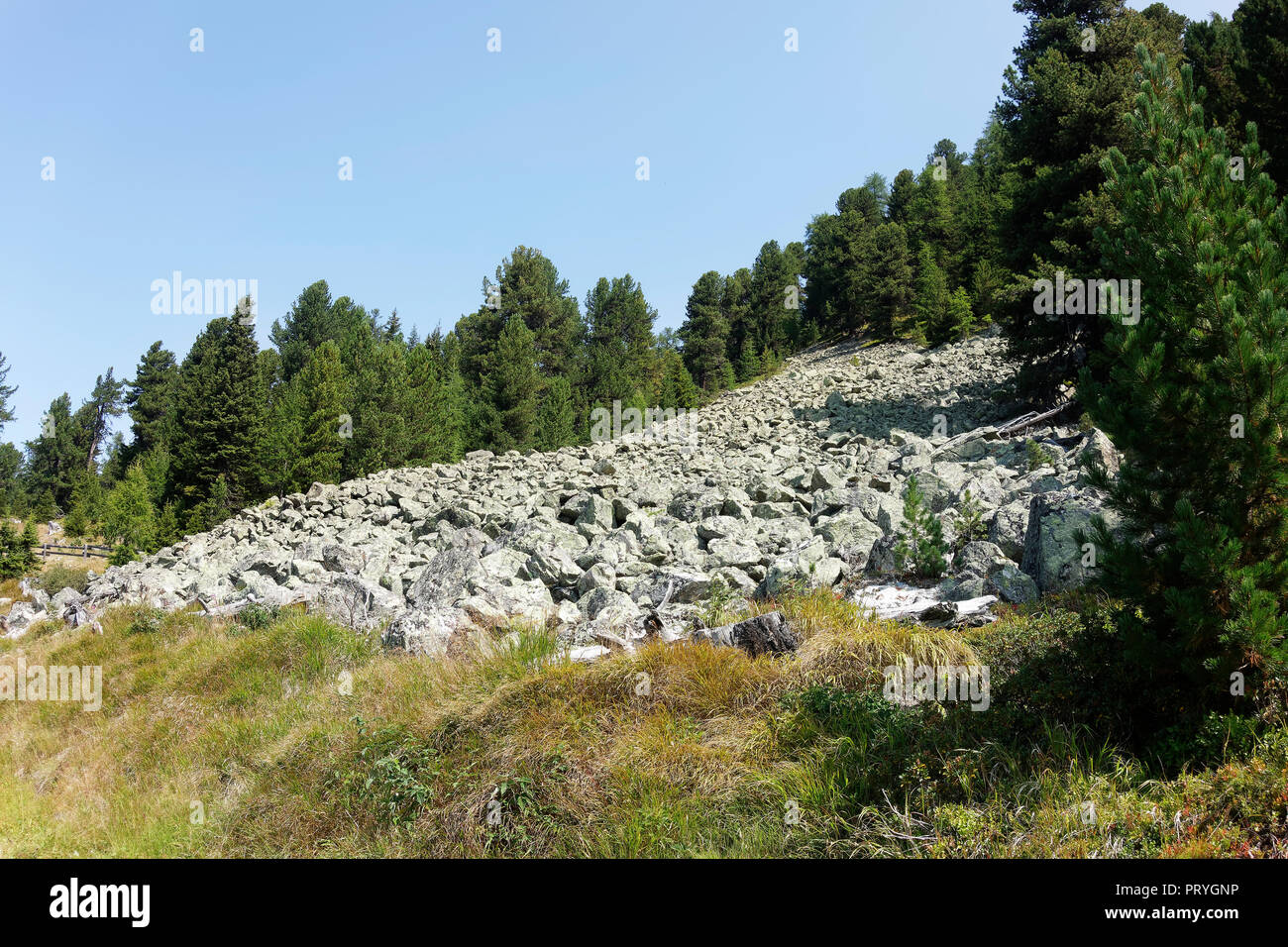 Uscire frana, Plamorter moss biotopo, Passo Resia, Val Venosta, Alto Adige, Italia Foto Stock