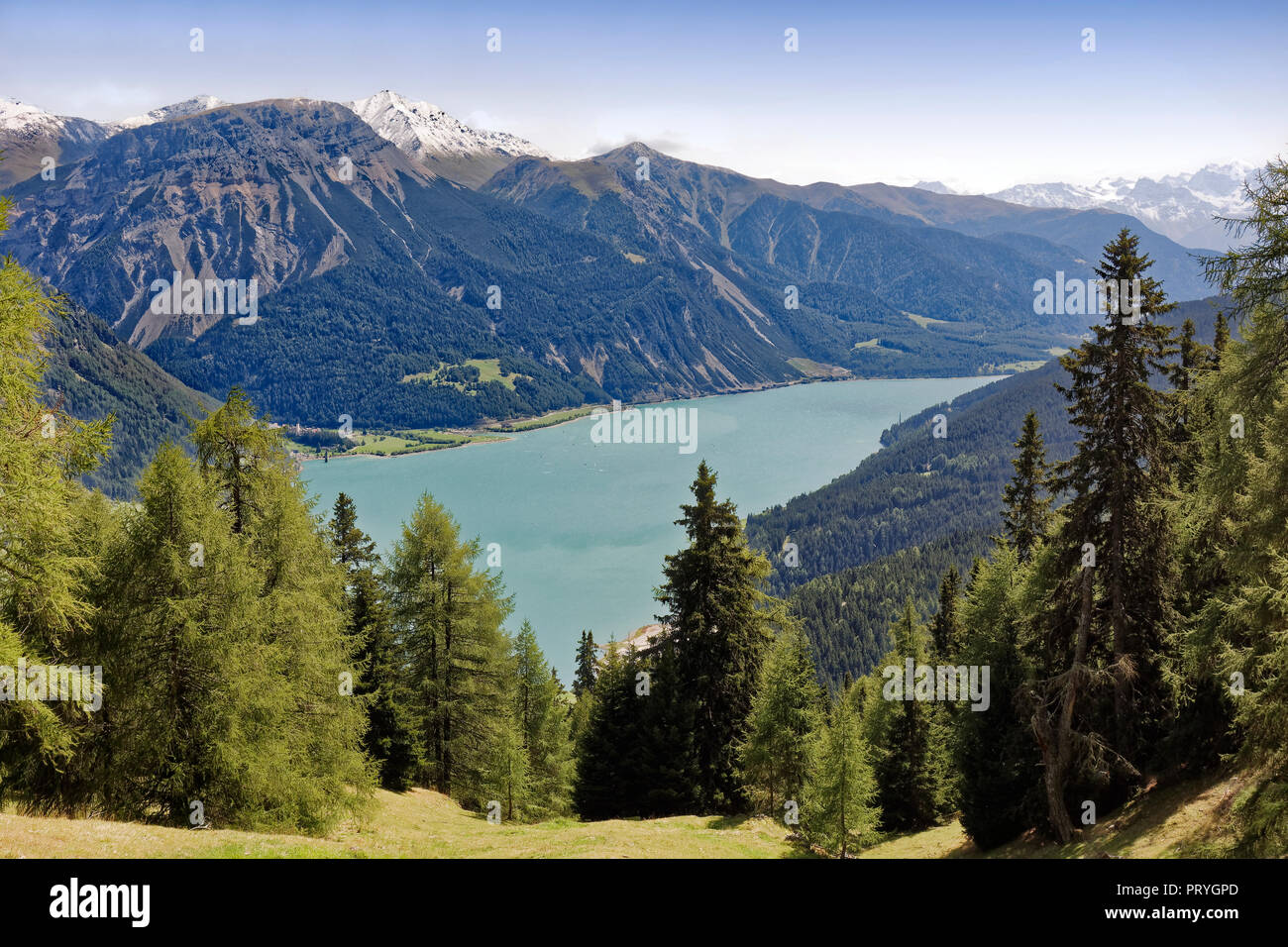 Lago Reschensee, serbatoio, dietro Grauner Berg o Monte Curon 2526m, Resia am Reschenpass, Val Venosta, Trentino Alto Adige Foto Stock