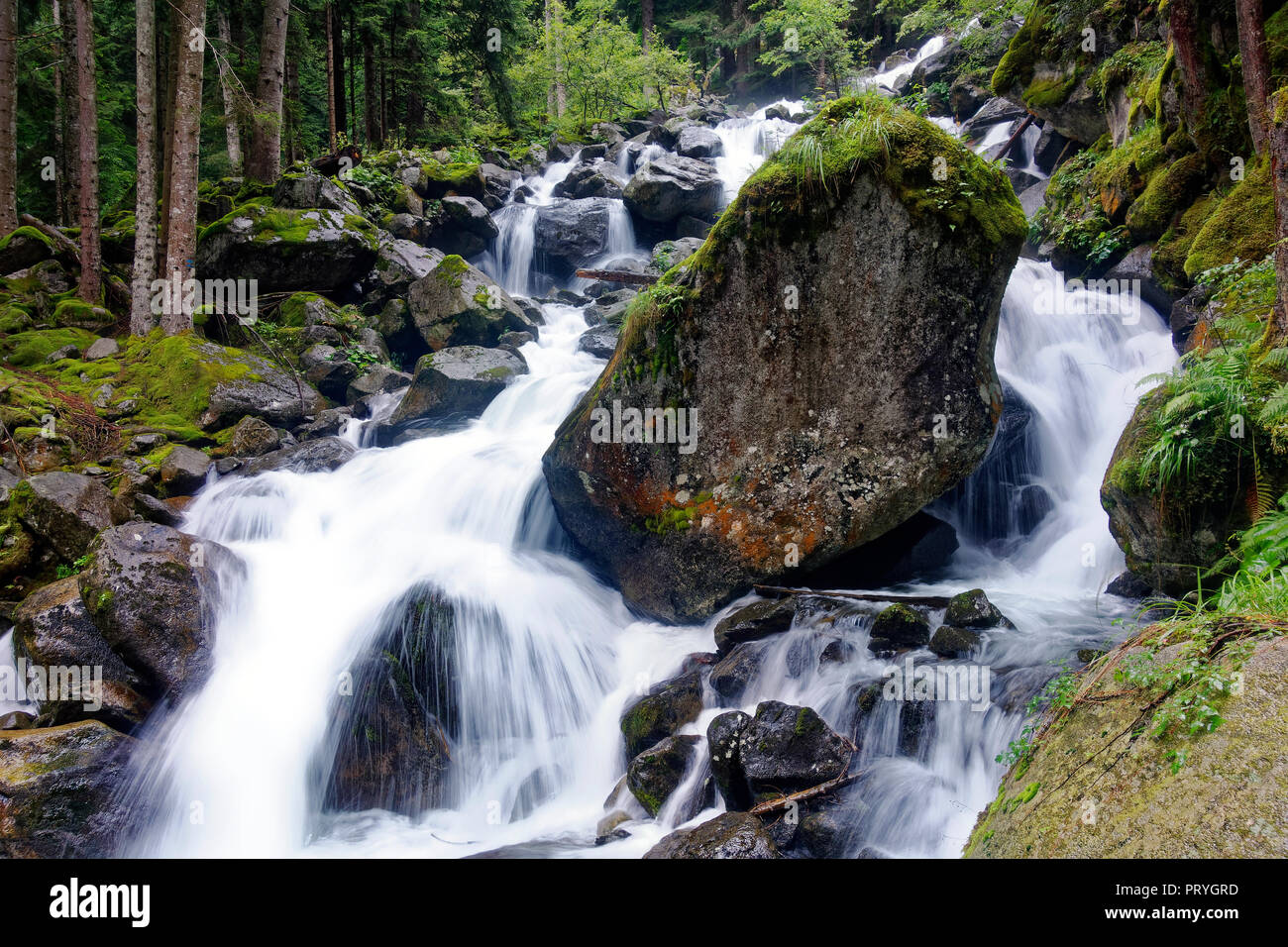 Rocce nel ruscello di montagna, la Val Genova e la Val Genova, vicino a Carisolo, Parco Naturale Adamello Brenta Park, Val Venosta Foto Stock