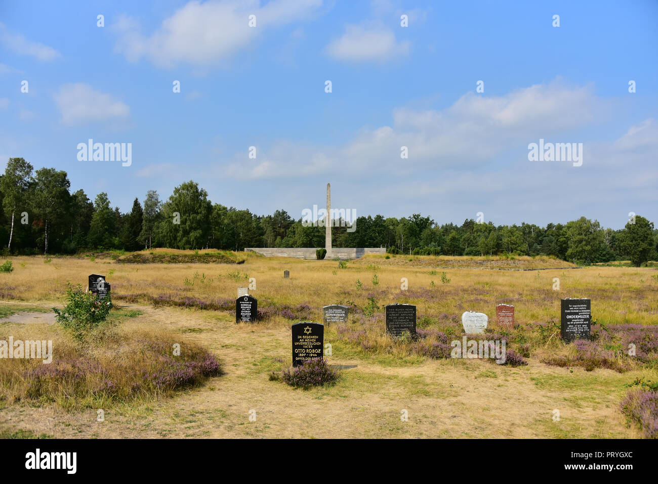 Le lapidi, compresa la pietra tombale di Anna Frank, Bergen-Belsen