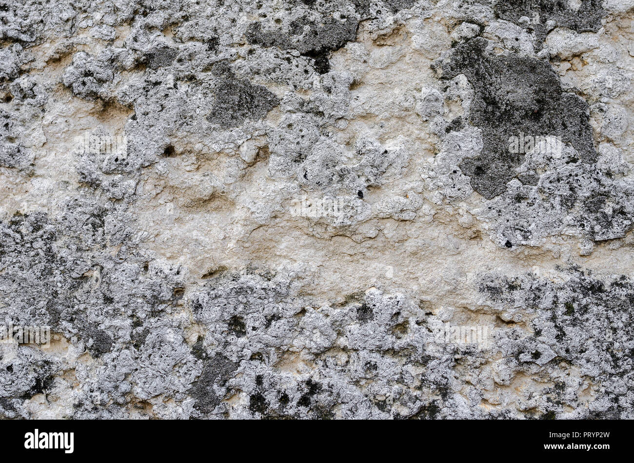 Il vecchio muro di cemento di rilievo. Ben visibile la texture. Foto Stock